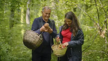 Zasłona do serialu "The Pasta Queen" #1874608