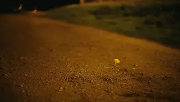 Zasłona do serialu "SRAM" #1477298
