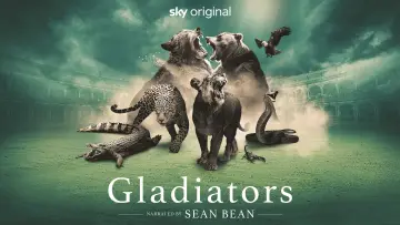 Zasłona do serialu "Gladiatorzy" #1561490