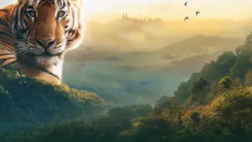 Zasłona к сериалу "Asia" #1479708