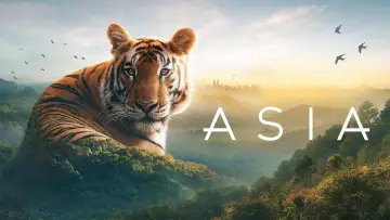 Zasłona к сериалу "Asia" #1479710