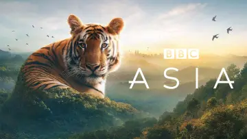 Zasłona к сериалу "Asia" #1479711