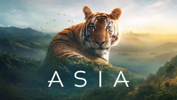 Zasłona к сериалу "Asia" #1479712