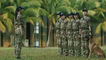 Zasłona do serialu "Dziewczyny z SWAT" #1605938