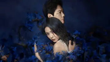 Zasłona do serialu "婚内婚外" #1780892