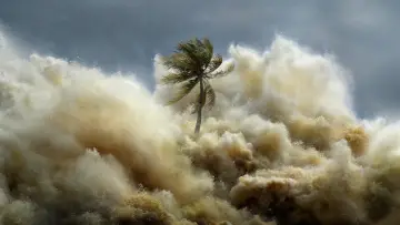 Zasłona do serialu "Tsunami: Wyścig z czasem" #1495132
