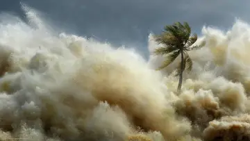 Zasłona do serialu "Tsunami: Wyścig z czasem" #1495139