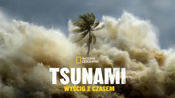 Zasłona do serialu "Tsunami: Wyścig z czasem" #1495140