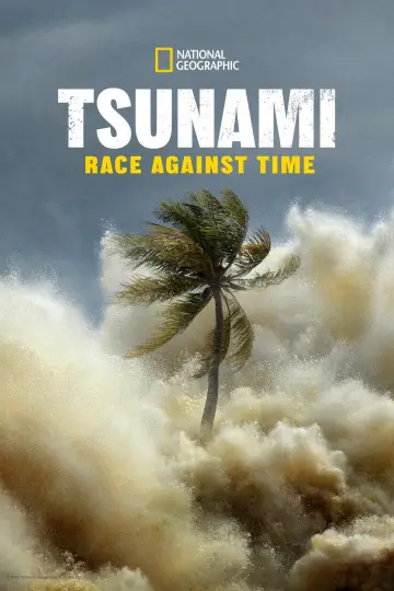 Plakat do serialu "Tsunami: Wyścig z czasem" #1495149
