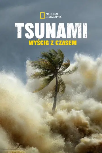 Tsunami: Wyścig z czasem (2024)