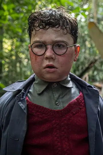 Plakat к сериалу "Władca much" #1472447