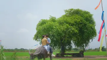 Zasłona do serialu "Moja kochana Jom" #1508785