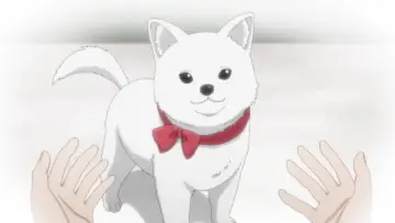 Zasłona do serialu "きのこいぬ" #1670275
