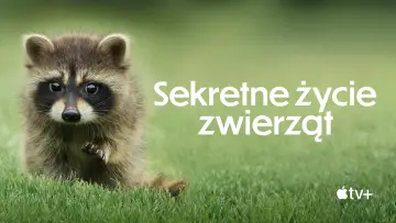 Zasłona к сериалу "Sekretne życie zwierząt" #1490863