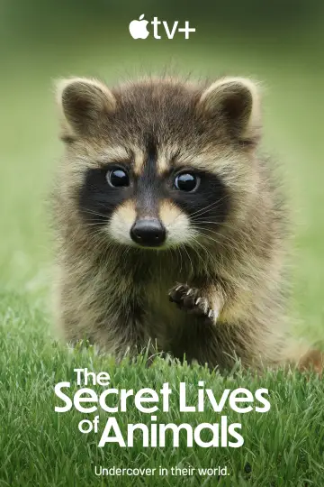 Plakat к сериалу "Sekretne życie zwierząt" #1490876