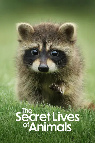Plakat к сериалу "Sekretne życie zwierząt" #1490879