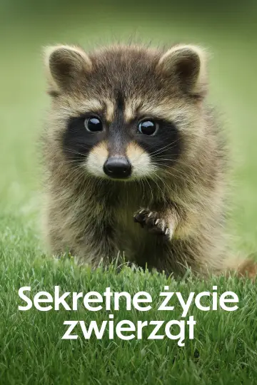 Sekretne życie zwierząt (2024)