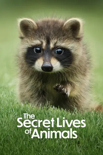 Plakat к сериалу "Sekretne życie zwierząt" #1490883