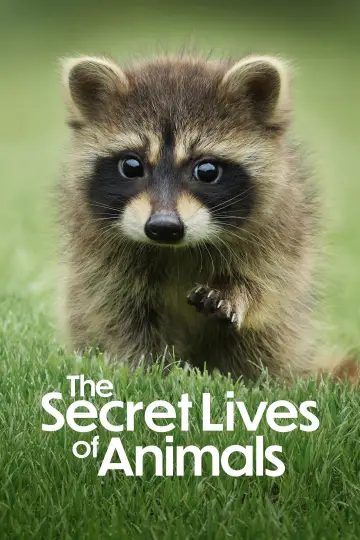 Plakat к сериалу "Sekretne życie zwierząt" #1490885