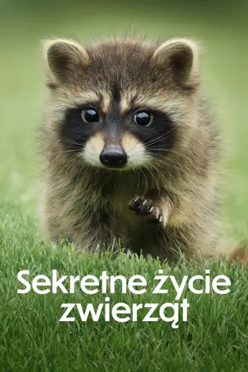 Plakat к сериалу "Sekretne życie zwierząt" #1490887