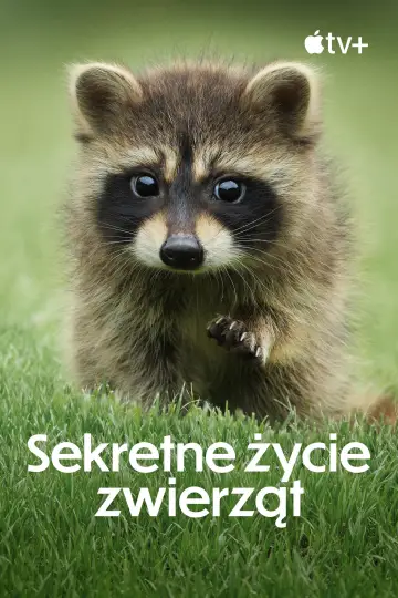 Plakat к сериалу "Sekretne życie zwierząt" #1490888