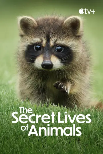 Plakat к сериалу "Sekretne życie zwierząt" #1490890