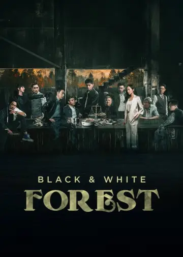 Plakat do serialu "黑白森林" #1796248