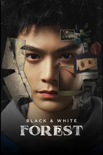 Plakat do serialu "黑白森林" #1796249
