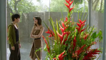Zasłona к сериалу "ภาวะรักคนหมดไฟ" #1450960