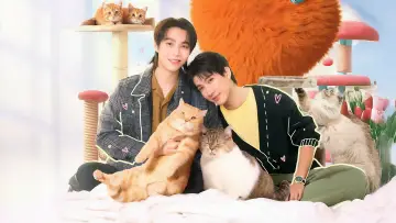 Zasłona к сериалу "เปย์รักด้วยแมวเลี้ยง" #1486588