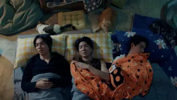Zasłona к сериалу "เปย์รักด้วยแมวเลี้ยง" #1486598