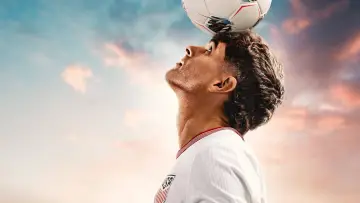 Zasłona do serialu "PULISIC" #1898804