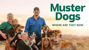 Zasłona do serialu "Muster Dogs: Where Are They Now" #1503312