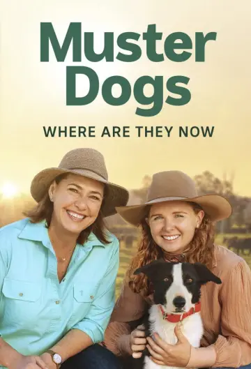 Plakat do serialu "Muster Dogs: Where Are They Now" #1503316