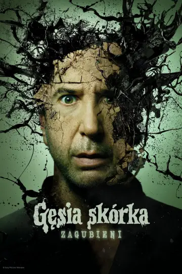 Gęsia skórka: Zagubieni plakat