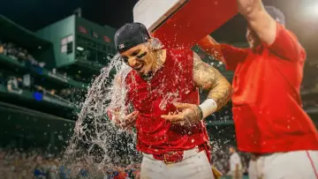 Zasłona do serialu "Rok z Boston Red Sox" #1855496