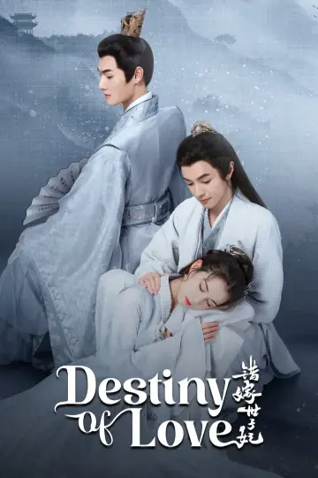 错嫁世子妃 plakat
