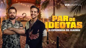 Para idiotów plakat