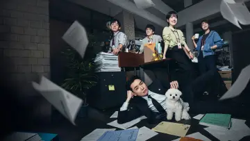 Zasłona к сериалу "프로보노" #1452039
