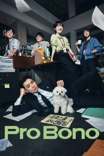 프로보노 plakat