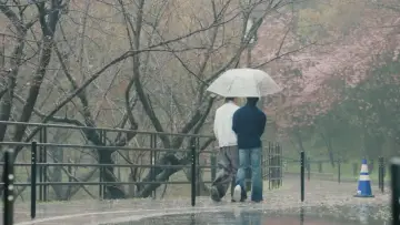 Zasłona к сериалу "ด้วงกับเธอ" #1341490