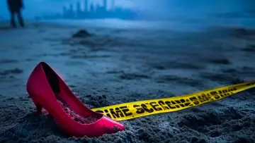Zasłona к сериалу "Zaginione: Polowanie na seryjnego zabójcę z Long Island" #1489871