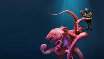 Zasłona do serialu "Octopus!" #1783443