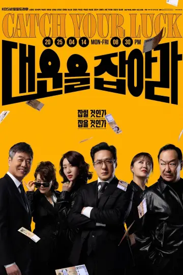 대운을 잡아라 plakat
