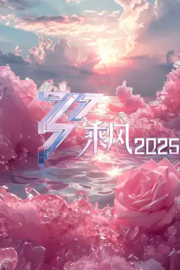 乘风2025 plakat