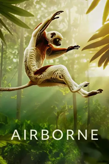 Plakat do serialu "Airborne" #1697301