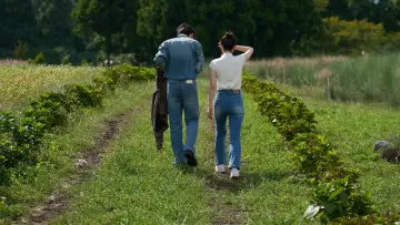 Zasłona к сериалу "Lepiej późno niż samotnie" #1472000