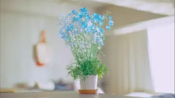 Zasłona do serialu "恋愛ルビの正しいふりかた" #1489812