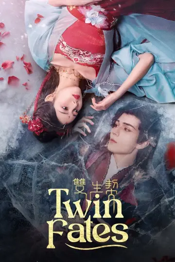 双生契 plakat