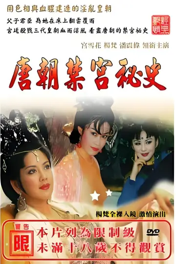 唐朝禁宫秘史 plakat